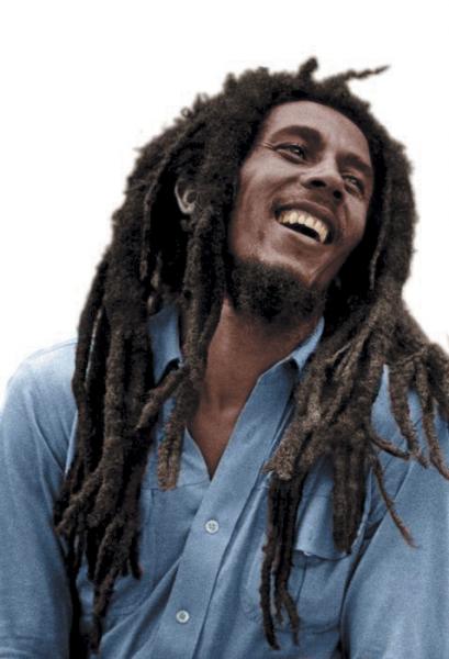 Mr Bob